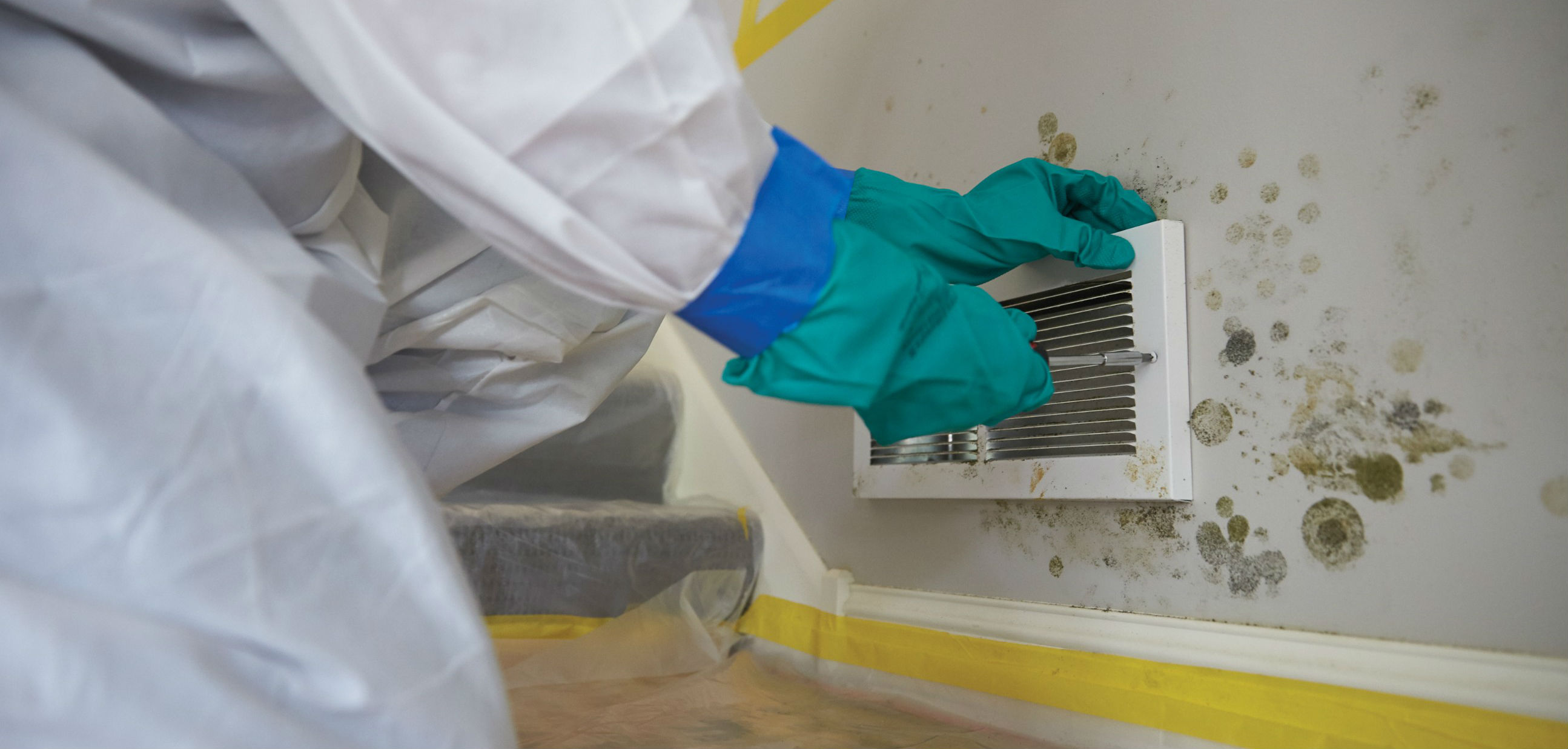 Only Certified Professionals Should Provide Mold Remediation Services