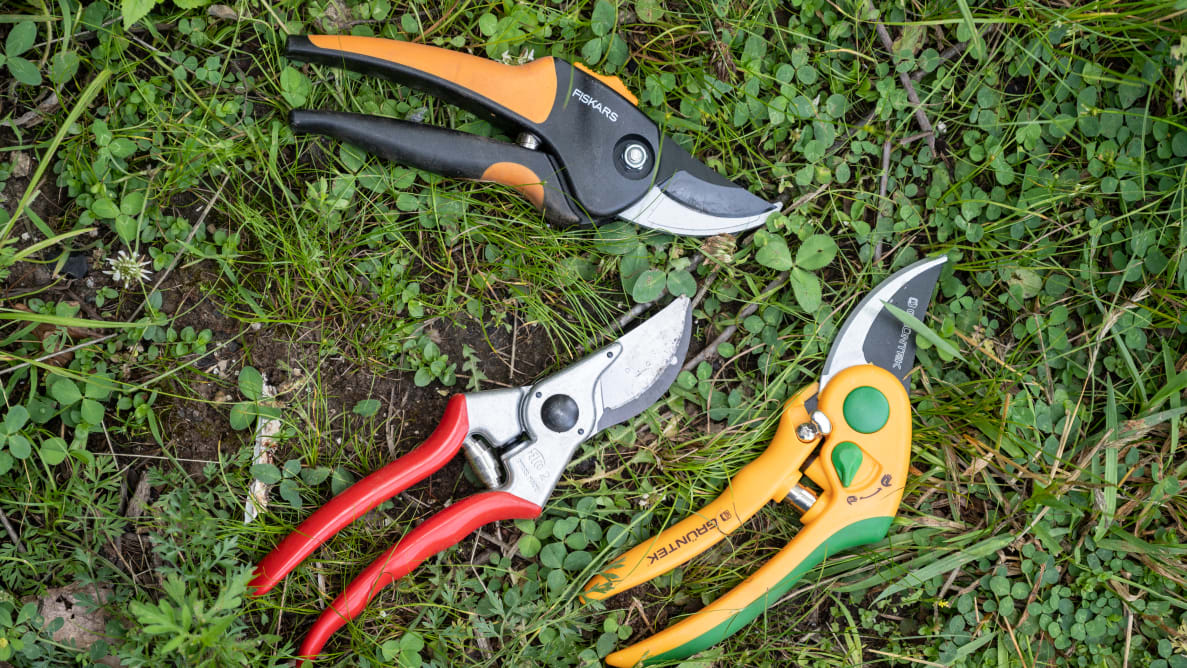 What are the Types of Garden Shears