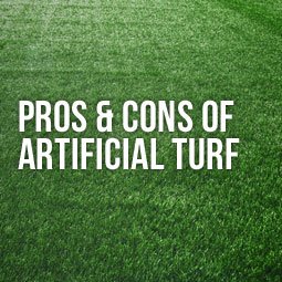 Artificial Turf: What you should be aware of?