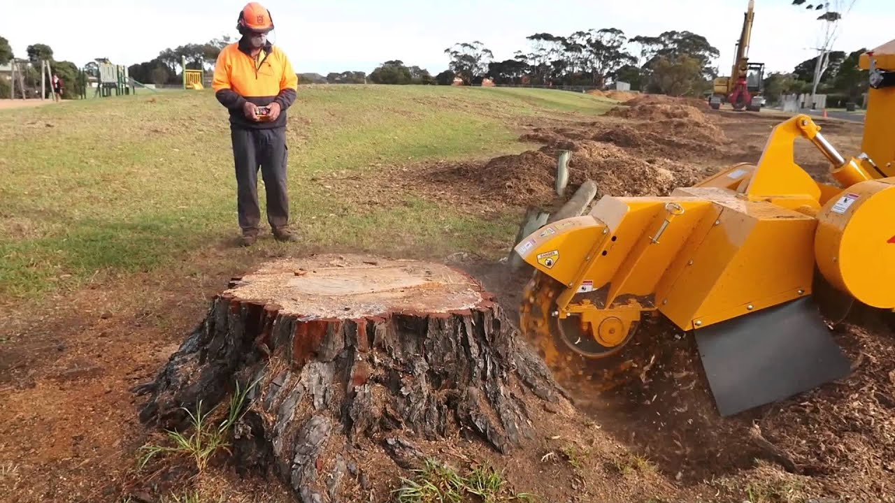 How to Remove Stump Removal