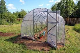 What you need to know before purchasing a Greenhouse Kit?