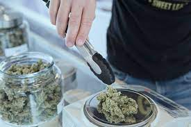 Buying Medicine From Online Dispensaries – What You Need To Know Before You Buy Weed Online