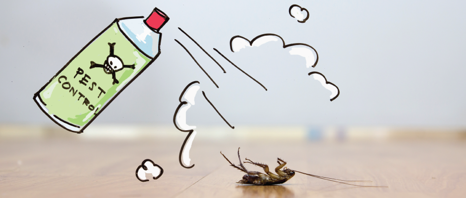 5 Reasons You Need to Hire a Pest Control Company like callmybugguy