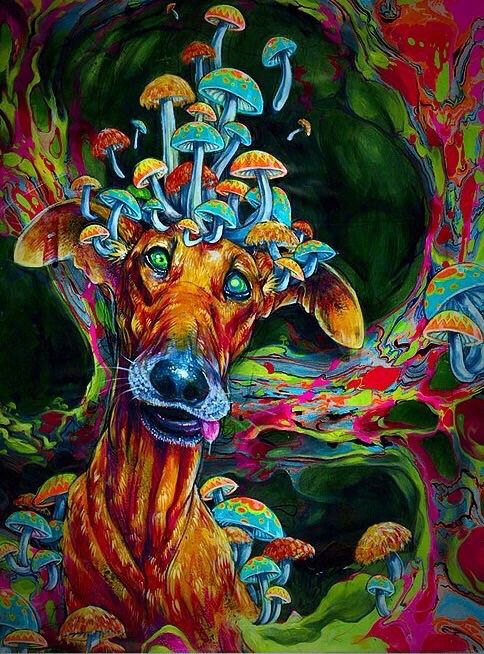 The World Of Trippy Art: From The Hallucinogenic To The Healing