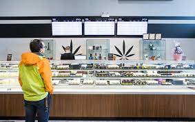 Want to order cannabis from a Toronto cannabis dispensary? Learn about cannabis first